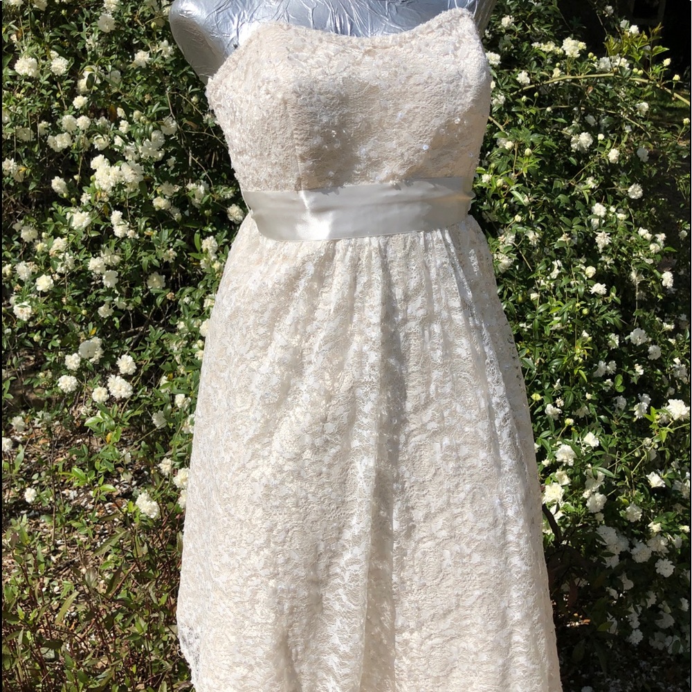 NWT David’s bridal short length wedding dress